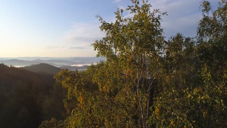 Drone-Soaring-Above-Foggy-Valley-in-Mountains