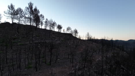 Silhouette-of-man-walking-in-burnt-forest-area-at-sunrise