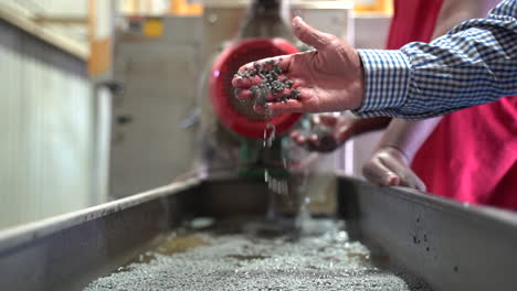 cinematic shot of white male hand picking up and dropping grey recycled plastic pellets in a recycling plant