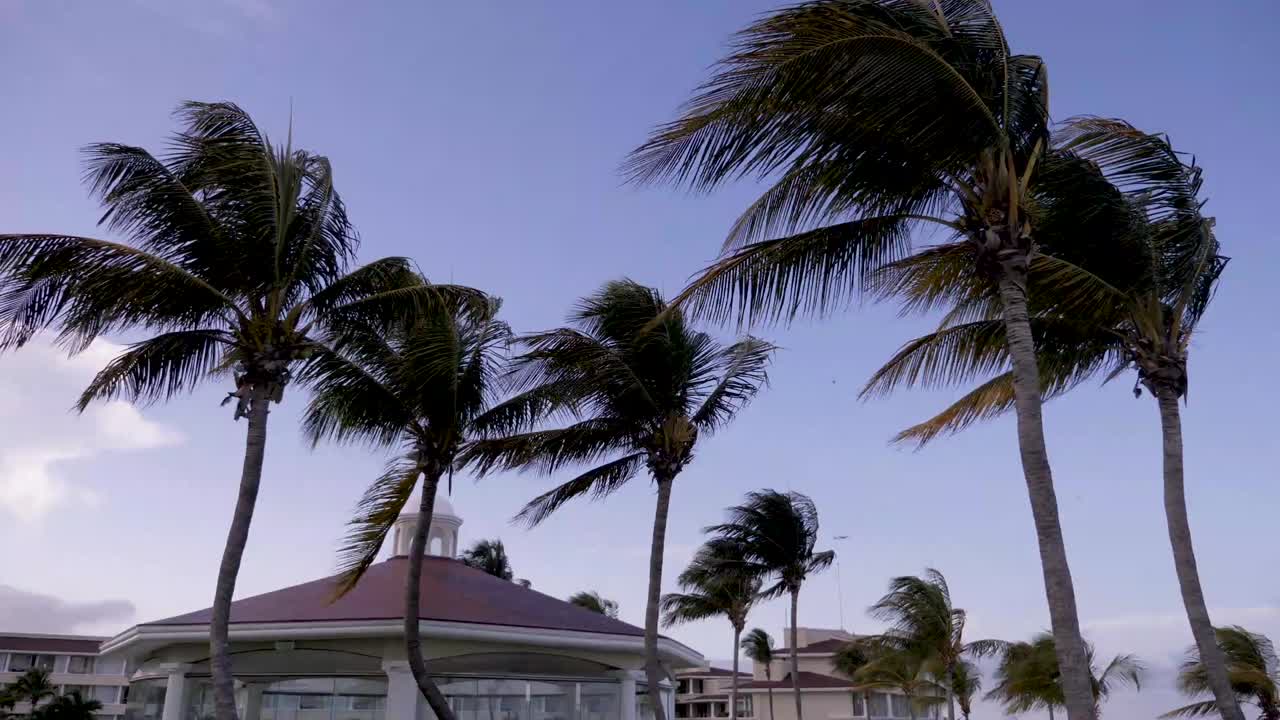 멋진 멕시코 리조트의 야자수