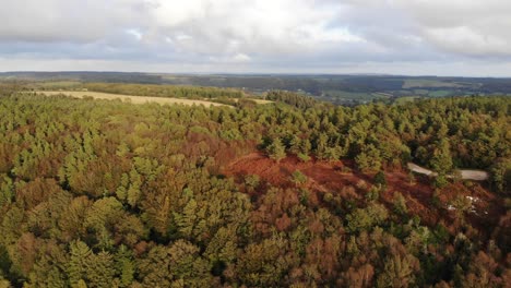 Toma-Panorámica-Aérea-Izquierda-De-Una-Puesta-De-Sol-En-Los-árboles-En-East-Hill-Devon,-Inglaterra