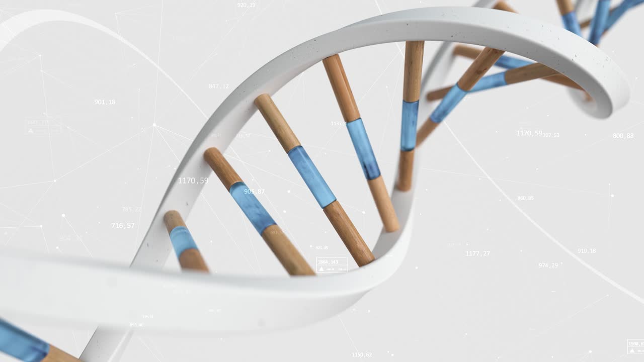modelo 3d de doble hélice de adn