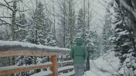 snowy forest path with person