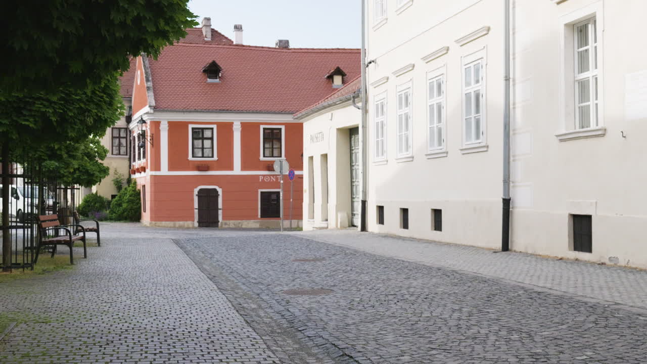 Quiet cobblestone street in historic town