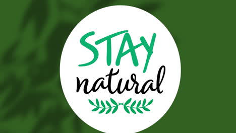 animation of stay natural text on green background