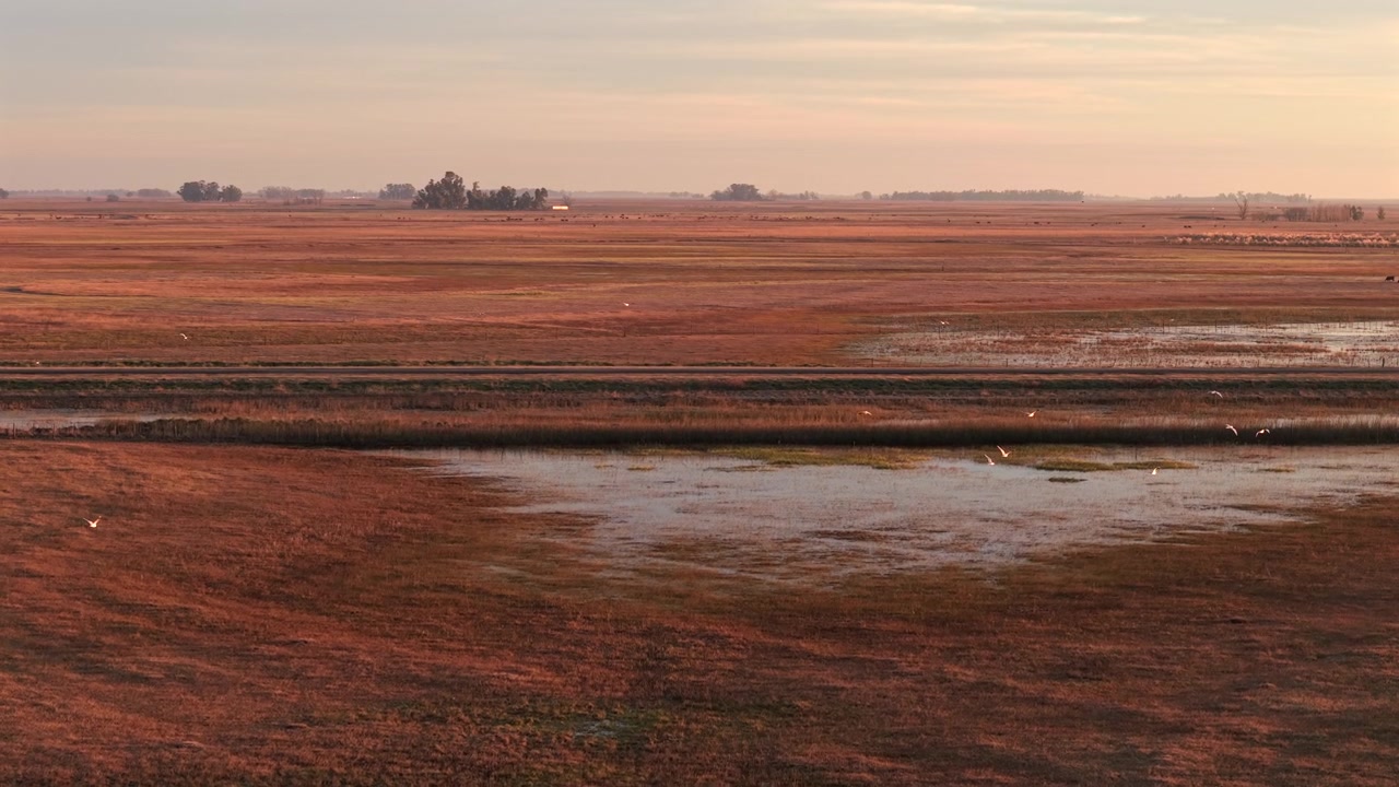 Sæsonbestemte vådområder og landbrugsjord spredt ud over Pampas-sletten i Buenos Aires, Argentina, hvor lavt vand tiltrækker vandfugle midt i omfattende landbrugslandskaber, droneoverflyvning fremad.