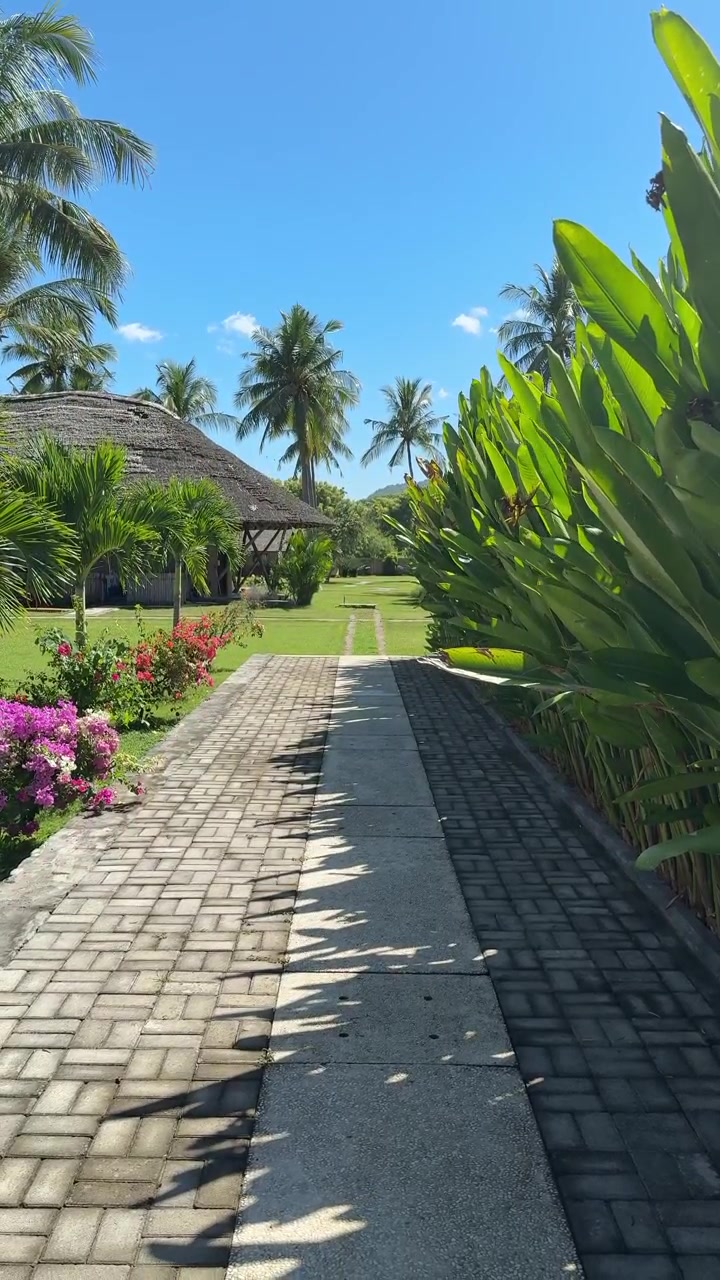 Paved Pathway through a Tropical Resort Garden on a Sunny Day