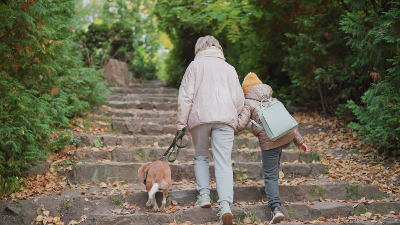 mom holds daughter hand and dog leash climbing stone steps in lush forest autumn leaves scattered gentle ascent captured from rear matching jackets and scarf serene family outdoor