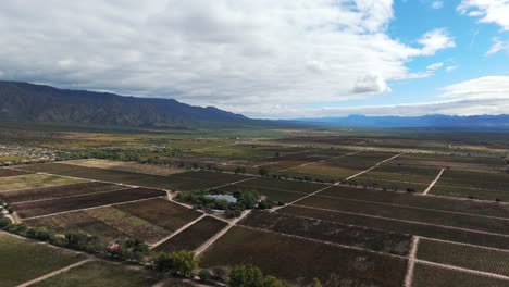 Aus-Der-Vogelperspektive-Sind-Die-Malerischen-Torrontés--Und-Malbec-Weinberge-In-Der-Berühmten-Weinregion-Zu-Sehen,-Die-Für-Ihren-Weinbau-In-Großer-Höhe-Bekannt-Ist