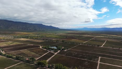 una vista de pájaro muestra pintorescos viñedos de torrontés y malbec en la famosa región vinícola aclamada por su viticultura a gran altitud