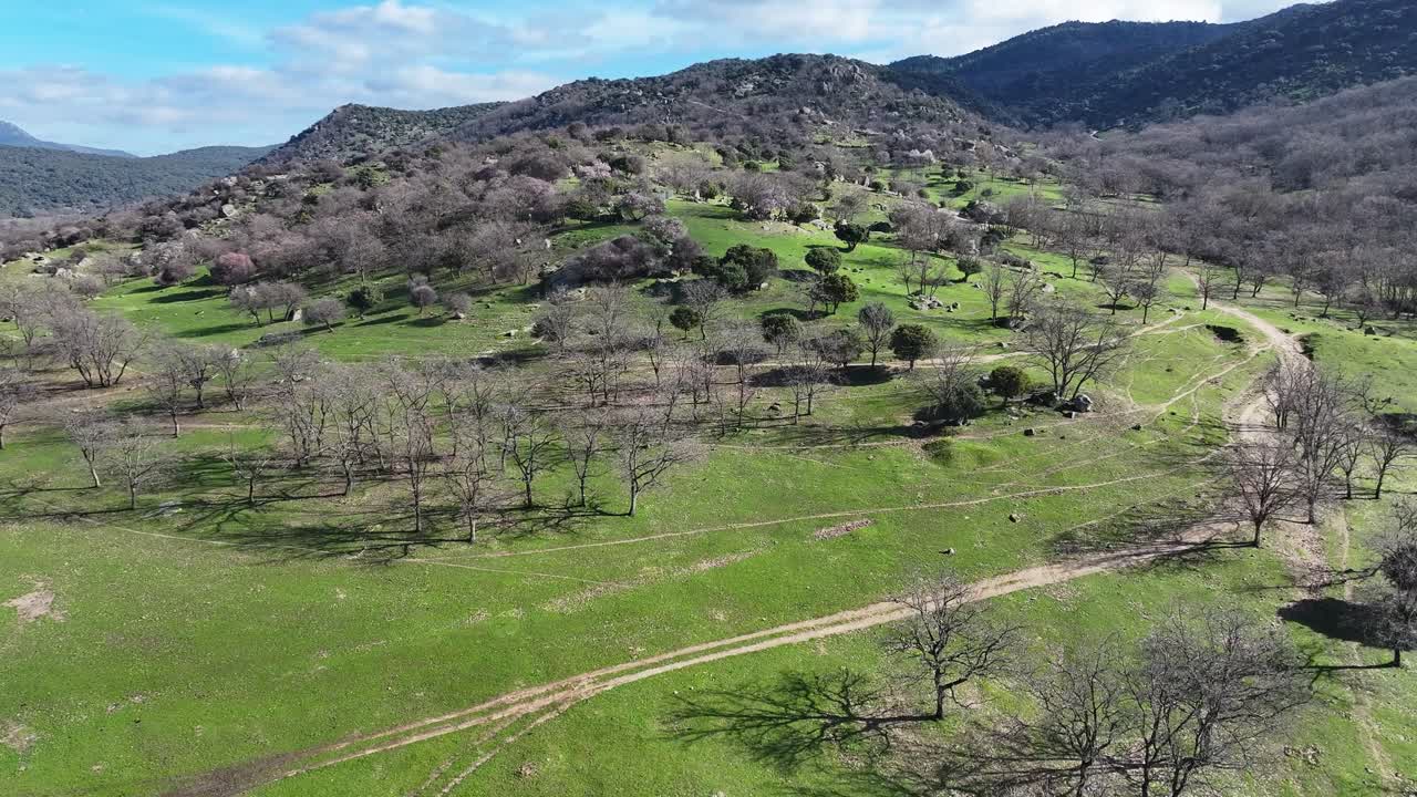 vuelo sobre un bosque en una zona montañosa llena de árboles desnudos con hojas con prados de hierba verde y algunas formaciones de granito en un escenario de invierno con cielo azul con algunas nubes blancas en ávila, españa