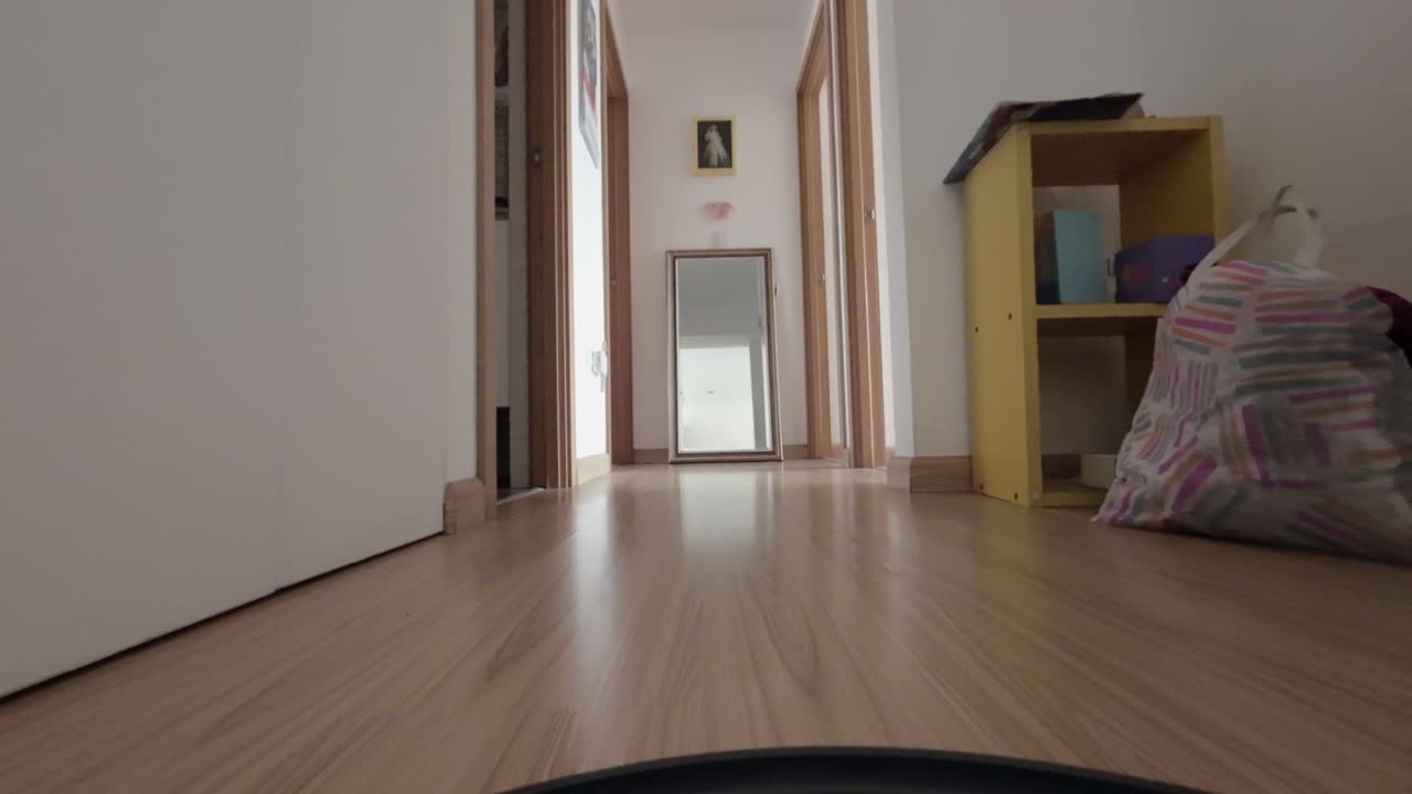 Vista dal basso di un cane che cammina in un corridoio di casa.