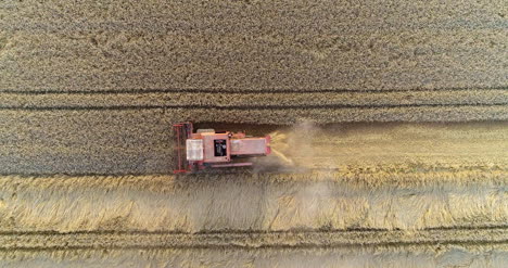 combine harvester harvesting agricultural wheat field 7