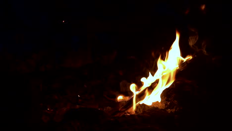 firewood burning in the fireplace in the dark