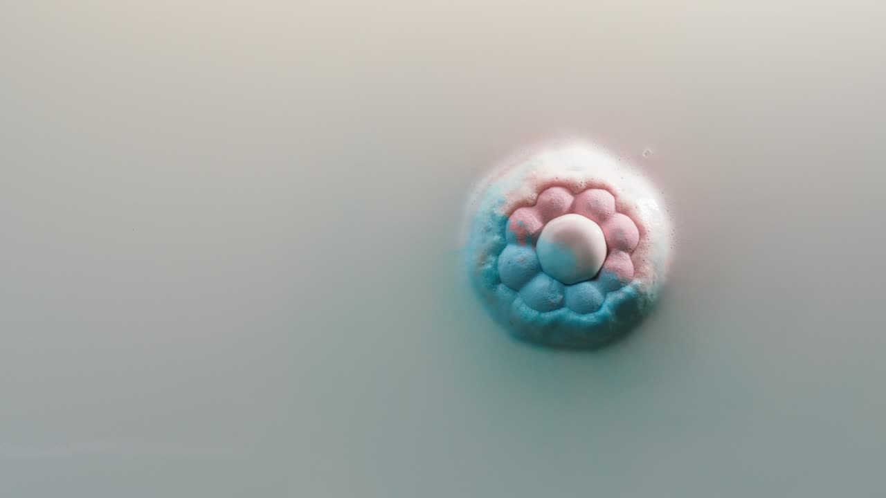 손으로 목욕 폭탄을 물에 넣는 클로즈업, 비누 꽃 용해, 거품 거품, 화장실 컨셉의 장식용 화장품