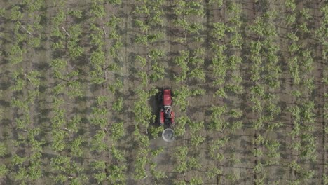 Imágenes-De-Arriba-Hacia-Abajo-De-Un-Tractor-En-Un-Campo-De-Vides-Esparciendo-Fertilizante