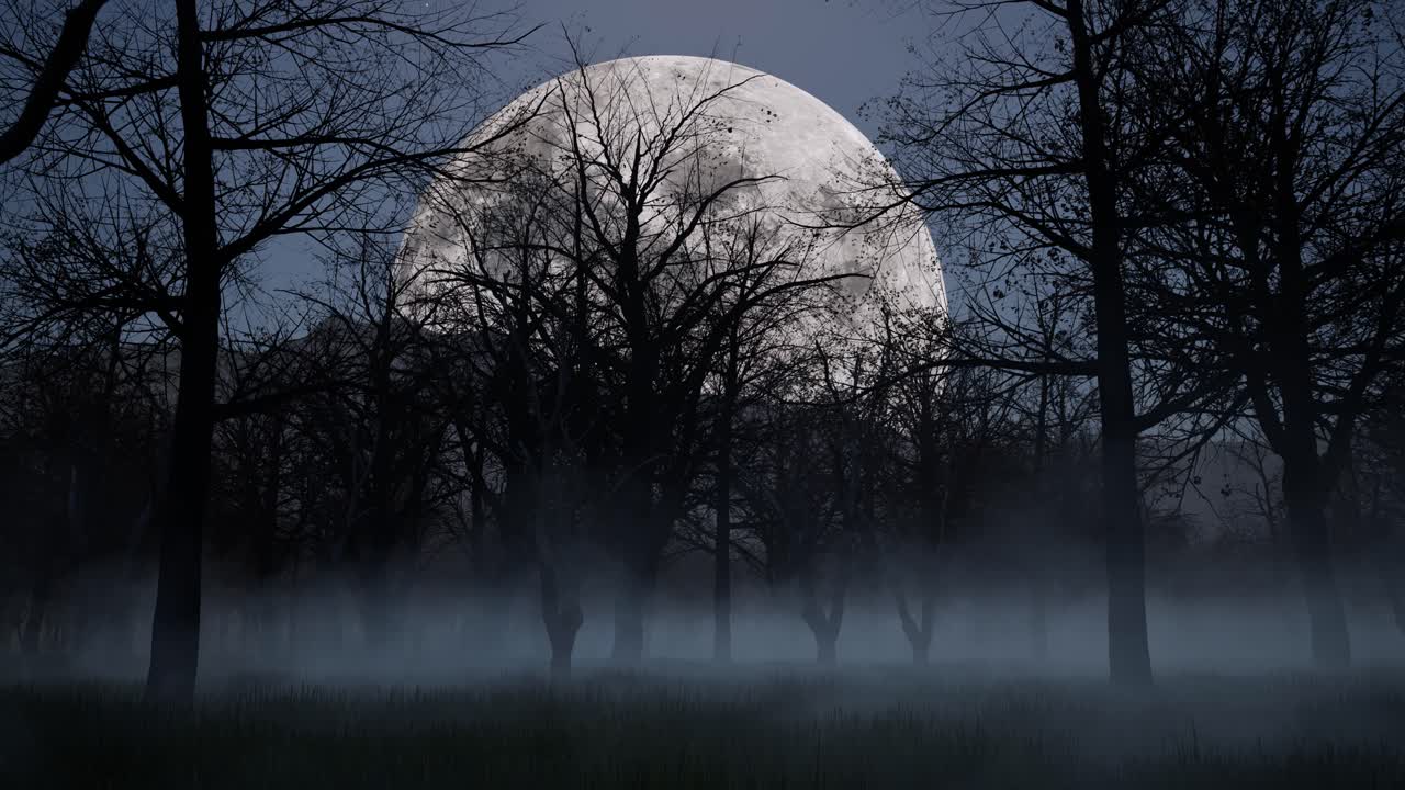 Halloween haunted dark woods forest at night time with fog, mist, full ...