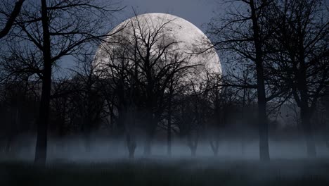 halloween haunted dark woods forest at night time with fog, mist, full moon, and creepy trees 3d animation camera zoom in