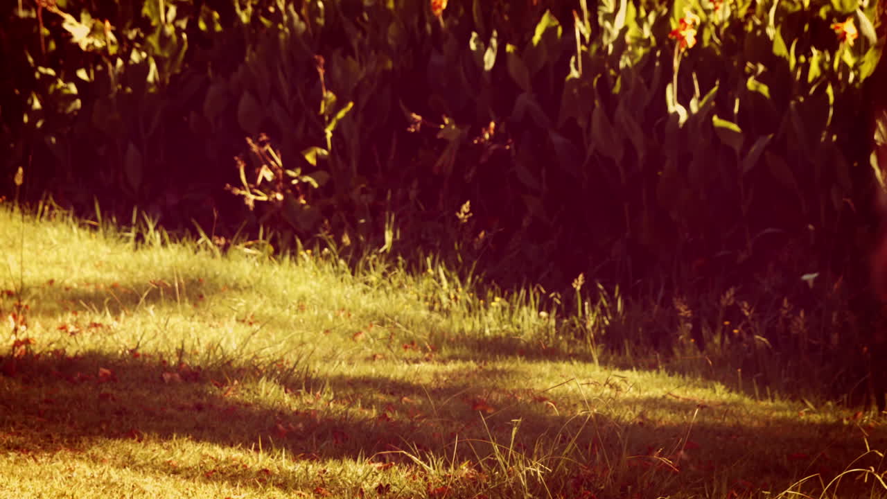 사과 를 가진 바구니 를 들고 있는 부부