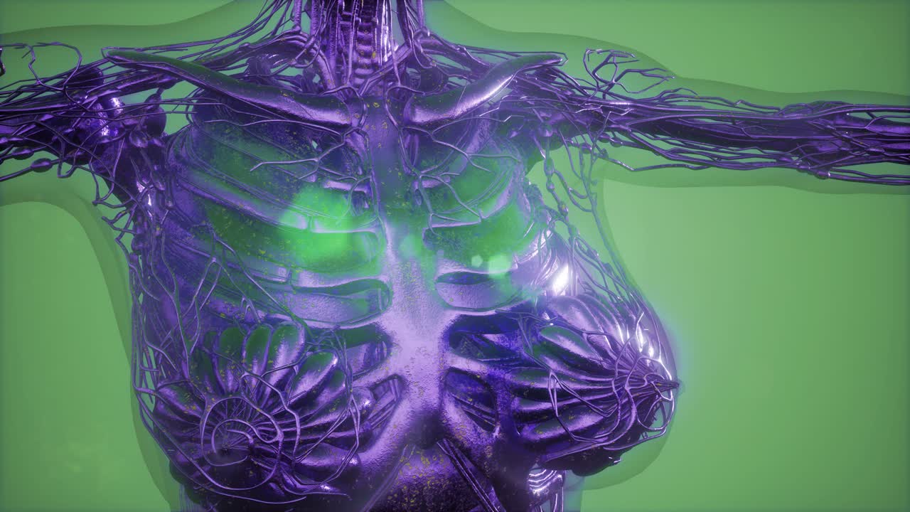 radiografía de mamografía para el diagnóstico del cáncer de mama