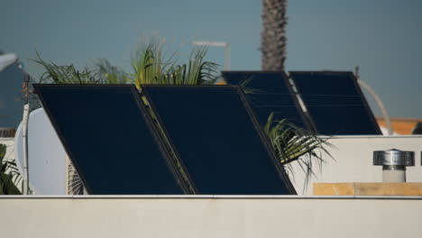 Tropical-solar-panels---harnessing-the-power-of-the-sun