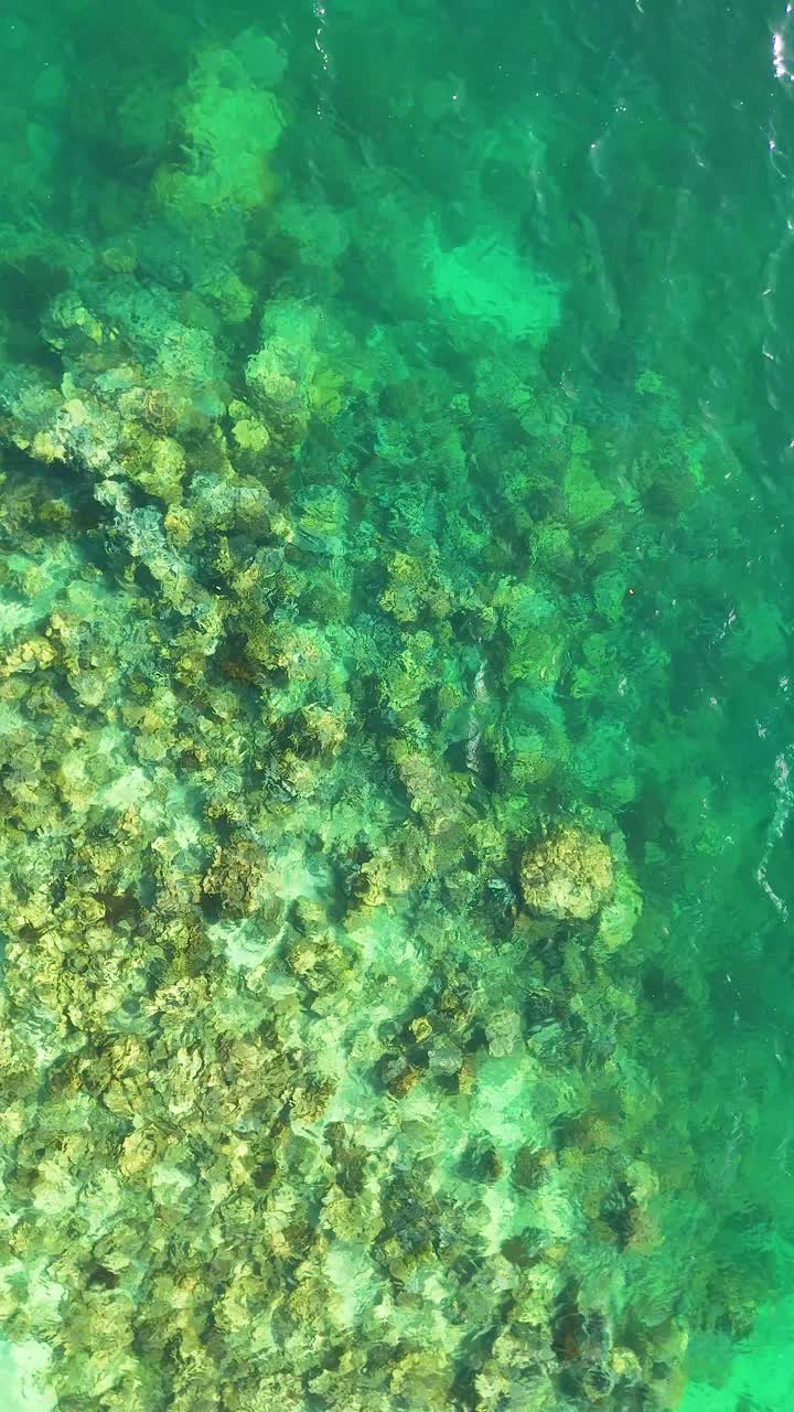 Ripresa aerea dall'alto con drone cattura vivaci formazioni coralline sotto le limpide acque turchesi dell'oceano tropicale