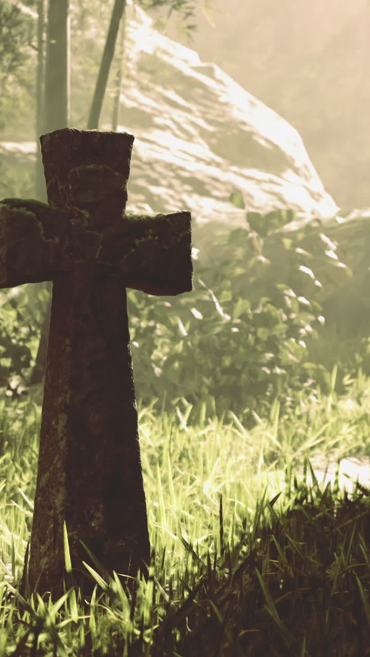 Cross standing in serene forest with soft light filtering through trees