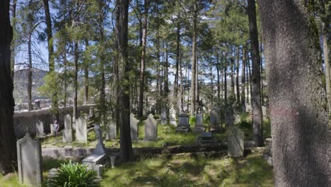 drone-shot-of-graveyard-in-Mexican-town