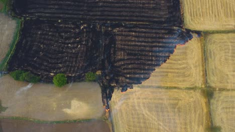 aerial drone shot of stubble burning of left overs from wheat field harvest causing smog and heavy air pollution in north india