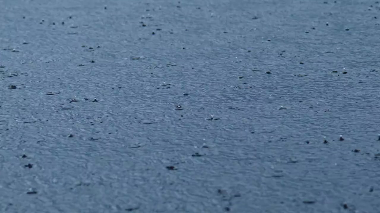Raindrops fall on calm, dark blue water surface. Gentle ripples spread outward from each impact. Scene feels serene, peaceful, and natural. Ideal for weather, nature, or calm atmosphere visuals