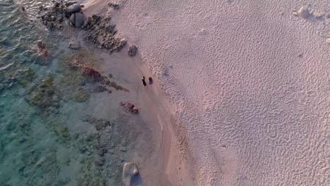 Italian-Girl-Strolling-On-The-Touristic-Beach-In-Italy-With-Her-Pet-Dog---aerial-top-down-shot