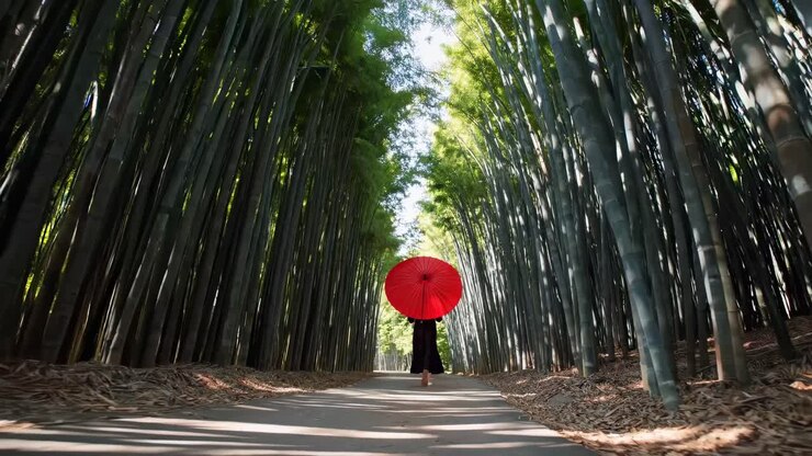 Persona che cammina con un ombrello rosso attraverso un sentiero sereno in una foresta di bambù