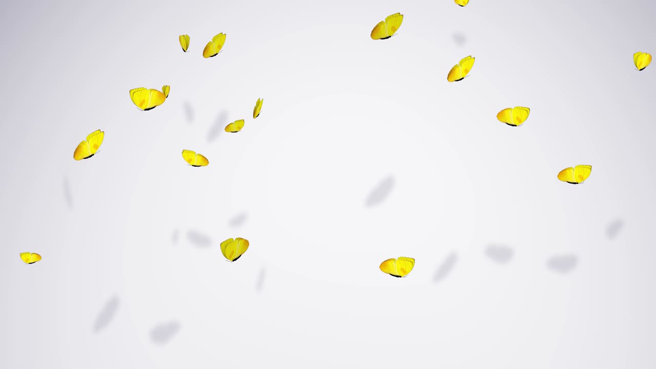 나비들이 날아다니는 애니메이션: 없는 루프