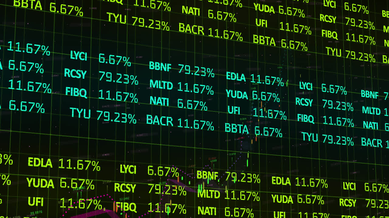 Animazione dell'elaborazione di dati finanziari