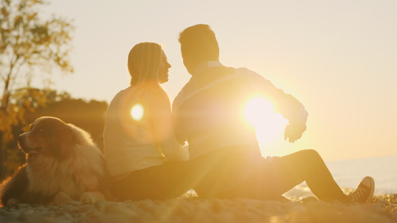 일몰 해변에서 젊은 부부와 개