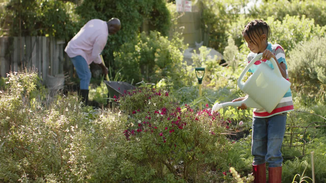 feliz anciano afroamericano abuelo y nieto regando plantas en jardín soleado, cámara lenta