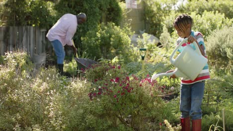 happy senior african american grandfather and grandson watering plants in sunny garden, slow motion