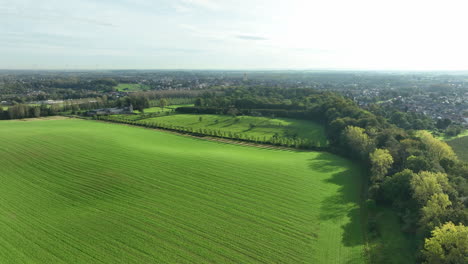 Aerial-flying-over-green-field-in-Beukenberg-region-on-sunny-day,-Tongeren,-Belgium