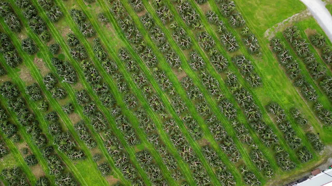 4K 30FPS overhead aerial of a cider field on a bright sunny day. Produced with Rec709 color