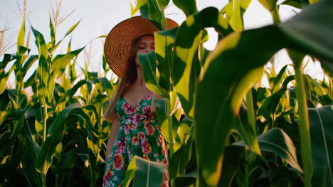 young woman in a straw hat and floral dress in a cornfield