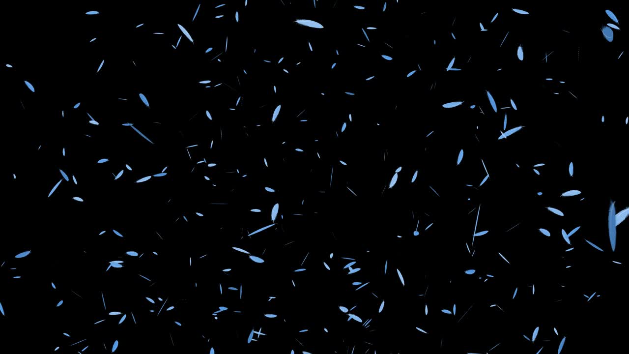 밝은 파란 털 날아다니는 입자 모션 그래픽