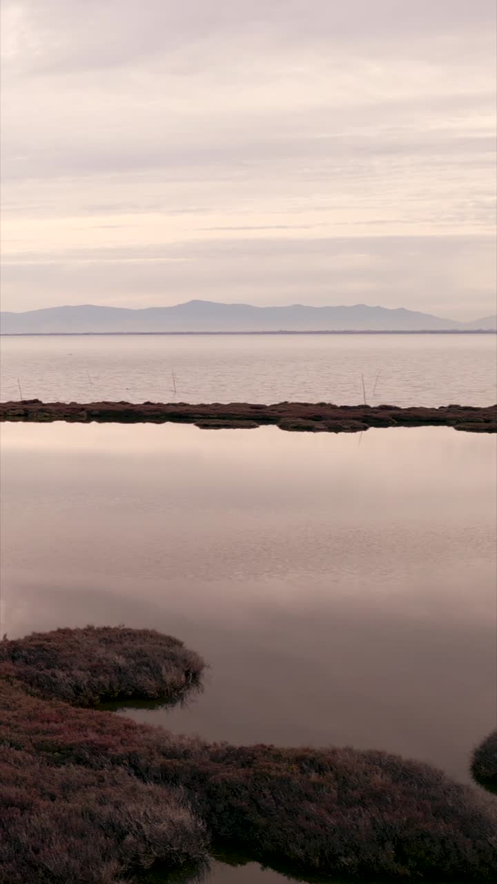 Scenic lake with mountains and wetland landscape