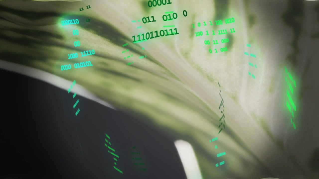 Green glyphs emerging lower-left and drifting over pale leaf while view opening, mapping data flow