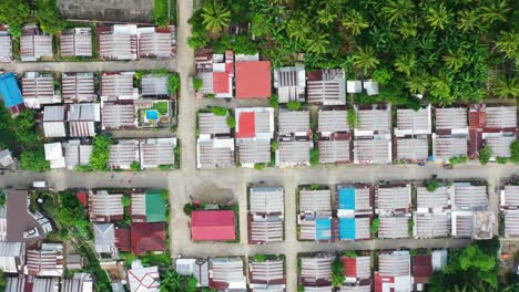 Paisaje-De-Techo-De-Asentamiento-Rodeado-De-Bosques-De-Palmeras-En-El-Pueblo-De-San-Bernardo,-Sur-De-Leyte,-Filipinas