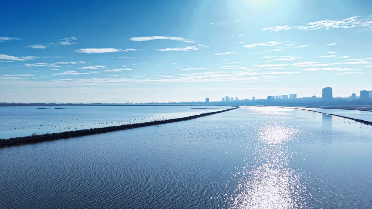 広大な青い海が明るい空の下に広がり、視線を遠くの街並みや、輝く正午の反射へと導きます。