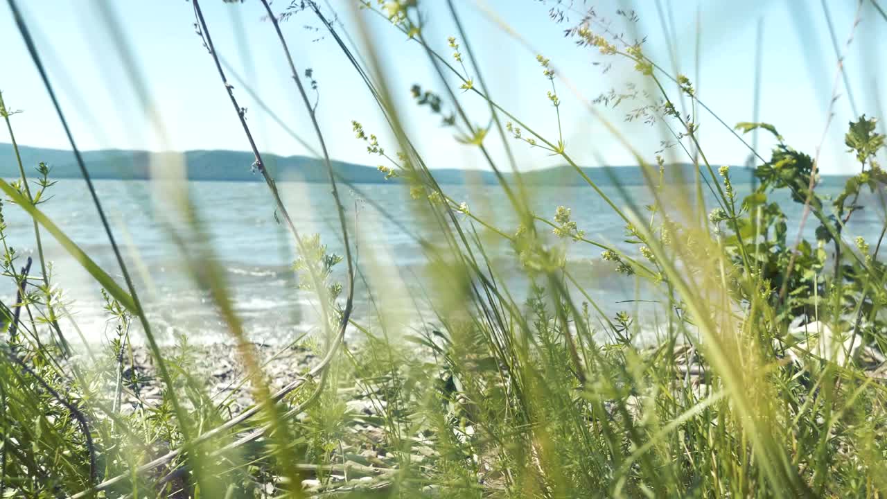 해가 지는 해변, 태평양에서 실제 시간, 모래 언덕에 의해 바람이 불는 저녁.