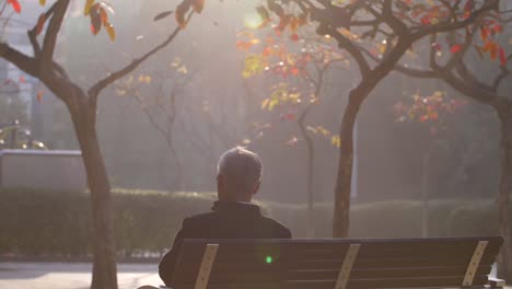 公園のベンチに座っている男性の写真を公開