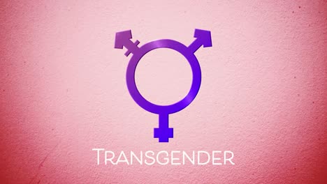 animación de texto transgénero sobre símbolo transgénero
