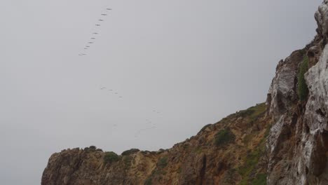 una majestuosa bandada de pájaros se eleva con gracia a través del cielo por encima de los escarpados acantilados de malibu, creando una escena costera serena e inspiradora de temor