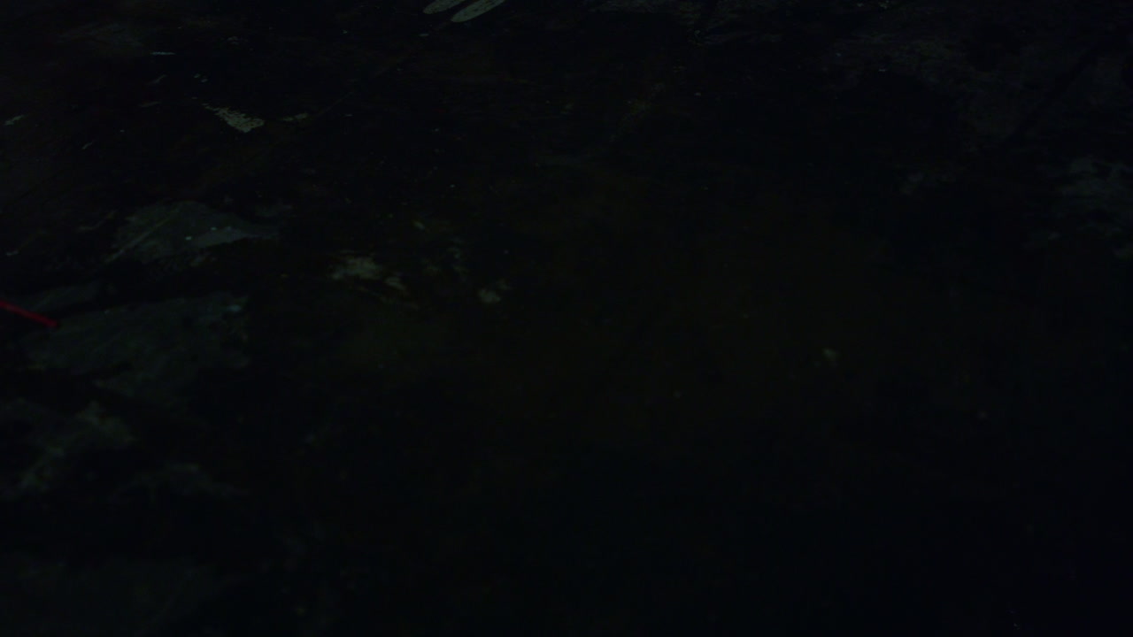Lumières d'une ambulance se reflétant dans une flaque d'eau. Sirène illuminant la nuit